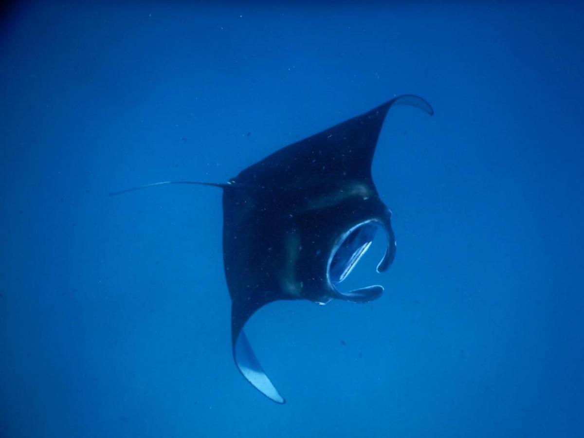 Keyodhoo  Wow Inn Keyodhoo מראה חיצוני תמונה